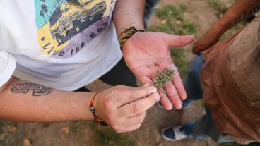 Un joven se arma un cigarrillo de marihuana durante la movilización. (Alan Monzón/Rosario3.com)