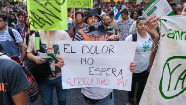 Uno de los reclamos a favor del uso medicinal del cannabis en la última marcha en Rosario.