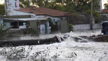 Crece la preocupación de los habitantes de Melincué por el avance de las aguas.