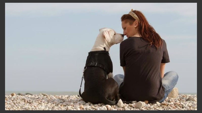 Perros y humanos son igual de sensibles al olor de la banana.