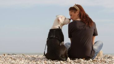 Perros y humanos son igual de sensibles al olor de la banana.