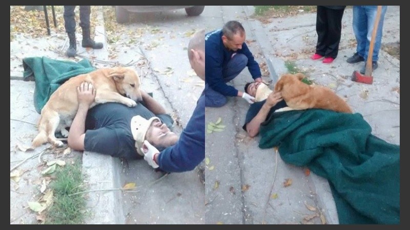 Las imágenes fueron difundidas por el municipio de Bahía Blanca.