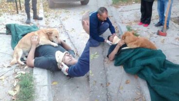 Las imágenes fueron difundidas por el municipio de Bahía Blanca.