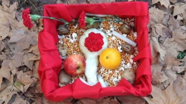 La extraña caja encontrada en la plaza de Echesortu.