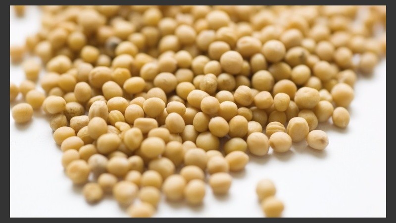 El mismo se realizará los días 22 y 23 de mayo.