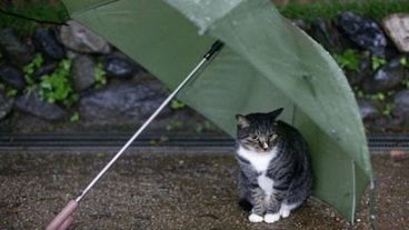 Anticipan tormentas de moderada o fuerte intensidad.