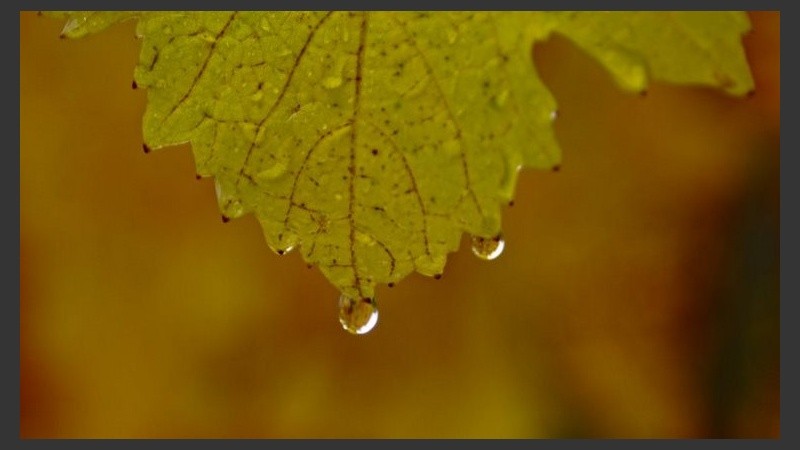 Humedad en todos los rincones de la ciudad. 