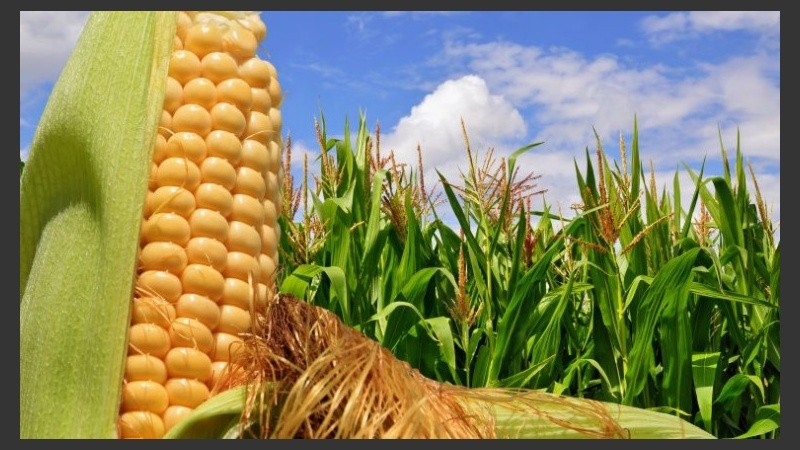 Será el viernes 2 de junio de 13 a 16 en Córdoba 1452, 5° piso.