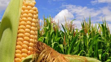 Será el viernes 2 de junio de 13 a 16 en Córdoba 1452, 5° piso.