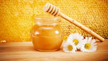 La miel argentina es considerada una de las mejores del mundo por su calidad.