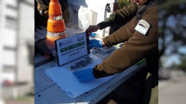 Desde Gendarmería estiman que el hombre ingirió unas 80 cápsulas de cocaína.