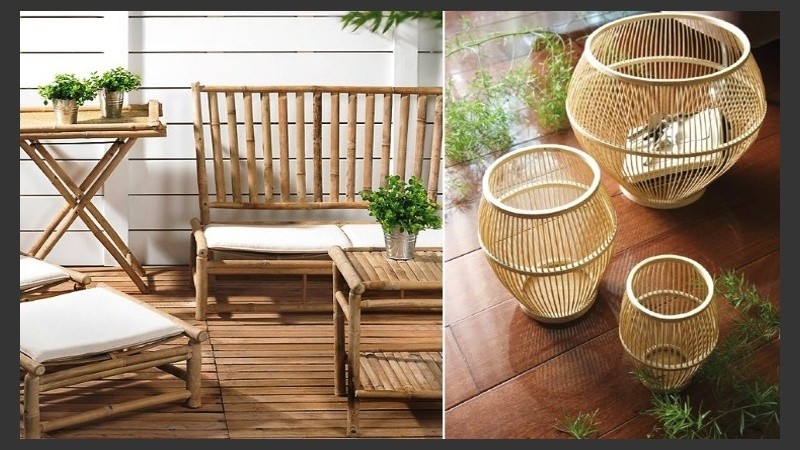 Elegí la propuesta que más te guste.