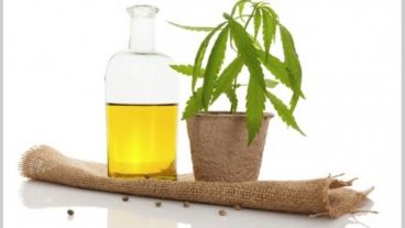 "La comunidad científica, las madres, los pacientes y los médicos, vienen dando una fuerte lucha por la legalización del cultivo del cannabis medicinal".