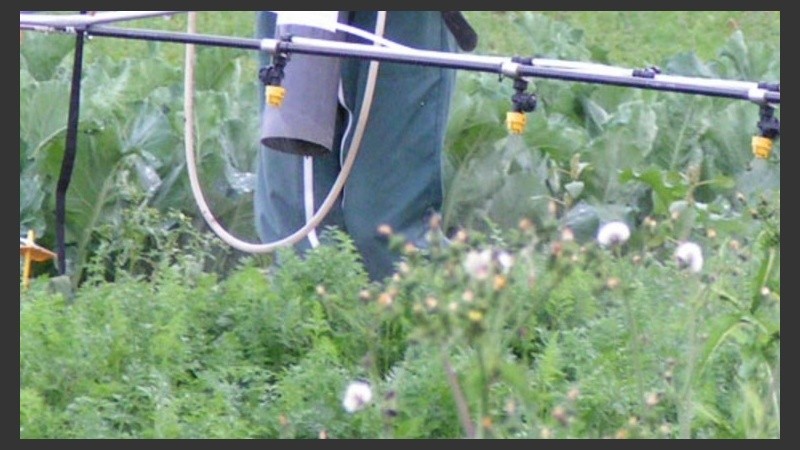 Es un desafío para que los legisladores voten a favor de la salud de nuestro pueblo y no de las multinacionales”, dijo Del Frade.a