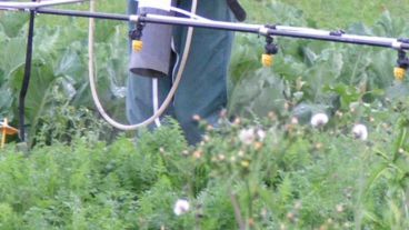 Es un desafío para que los legisladores voten a favor de la salud de nuestro pueblo y no de las multinacionales”, dijo Del Frade.a