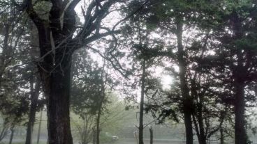 Mucha niebla en este jueves de otoño.