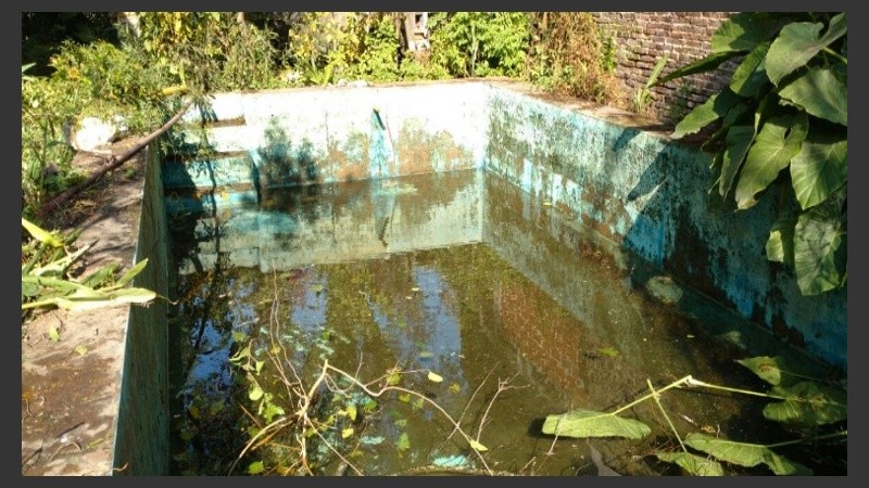 Una de las tareas consistió en desmalezar y desagotar los 40 mil litros de agua de la pileta, ante el riesgo de dengue.