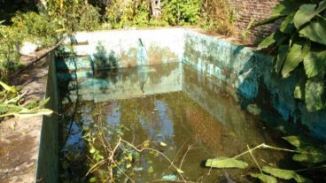 Una de las tareas consistió en desmalezar y desagotar los 40 mil litros de agua de la pileta, ante el riesgo de dengue.