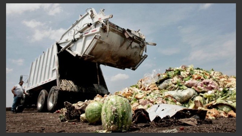 Las pérdidas de alimentos en Argentina se dan en las etapas de producción, procesamiento y logística.