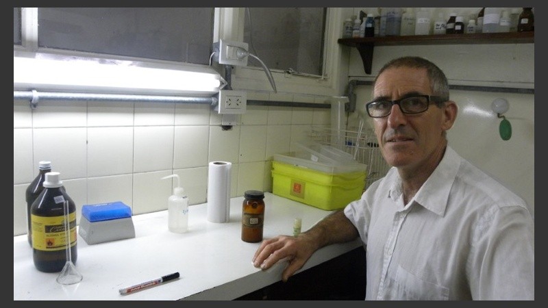 El investigador independiente del Conicet Alfredo Rigalli en su laboratorio.