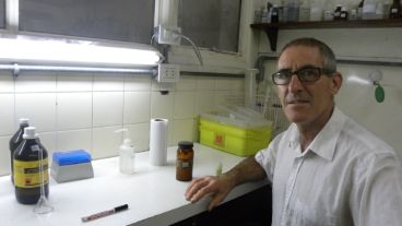 El investigador independiente del Conicet Alfredo Rigalli en su laboratorio.