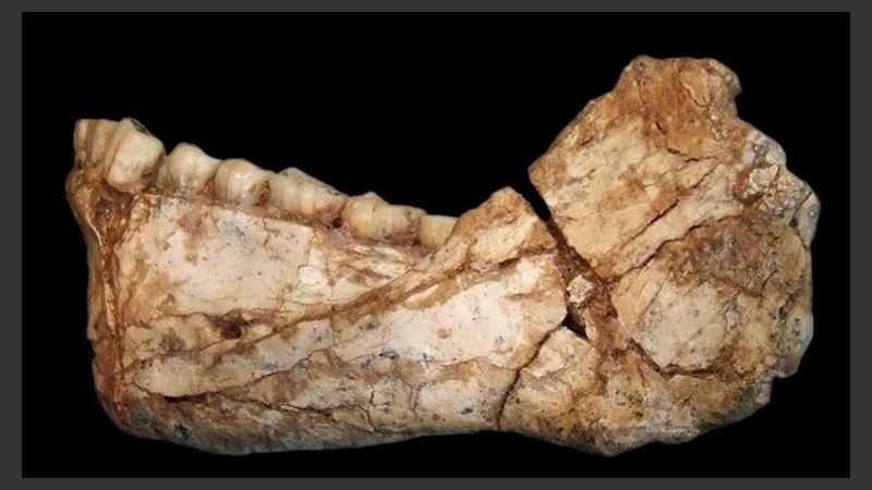 Los restos fueron encontrados en Marruecos.