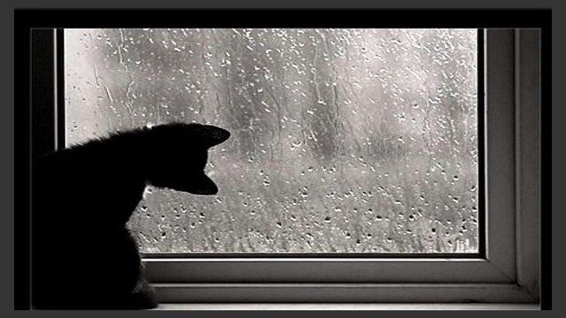 A mirar por la ventana la lluvia caer.