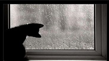 A mirar por la ventana la lluvia caer.