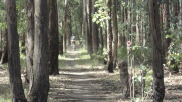 Circuito de mountain bike.