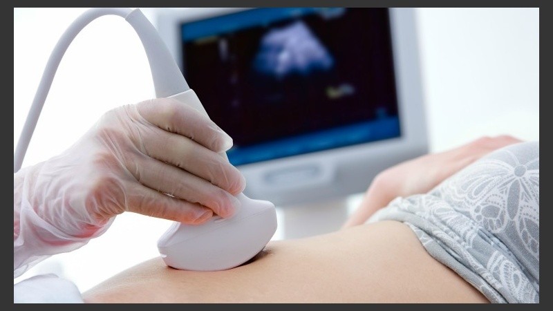 Estiman que este descubrimiento abrirá las puertas sobre nuevos estudios de desarrollo de capacidades cognitivas fetales.