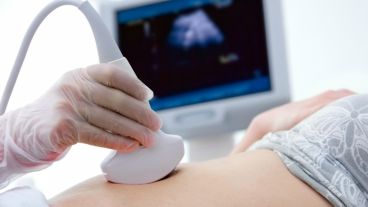 Estiman que este descubrimiento abrirá las puertas sobre nuevos estudios de desarrollo de capacidades cognitivas fetales.