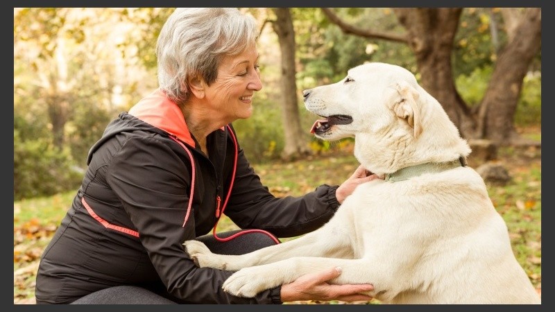 Los mayores de 64 años que tienen un perro dedican cada día una media de 22 minutos adicionales a caminar.