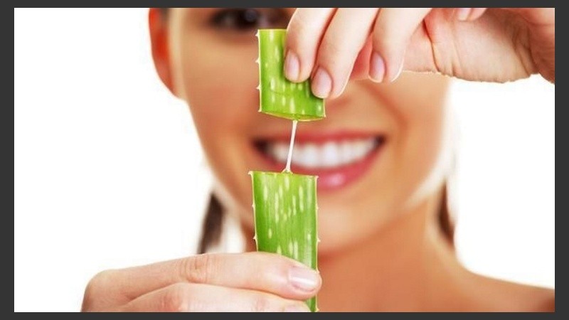 Existen geles corporales, shampús, acondicionadores, lociones, máscaras capilares y serums elaborados en base a puro aloe vera orgánico.