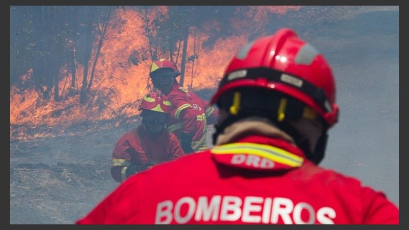 Los incendios forestales se desataron el sábado en el centro de Portugal.