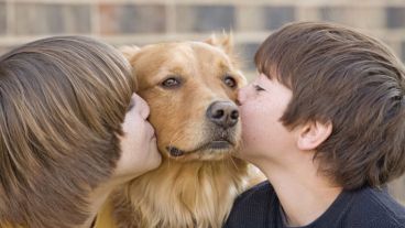 La toxocariasis es una enfermedad parasitaria que afecta en especial a niños que mantienen contacto estrecho con  sus animales.