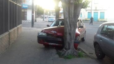 El coche quedó contra un árbol en la vereda.
