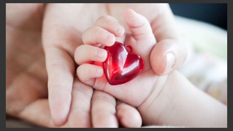 Con las nuevas tecnologías se pueden detectar en el útero materno enfermedades y malformaciones .