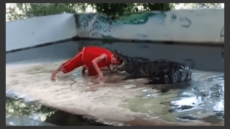 El cuidador salvó su vida pero tiene importante lesiones. 