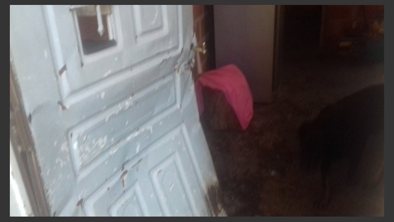 Los agentes irrumpieron en las viviendas por la fuerza.