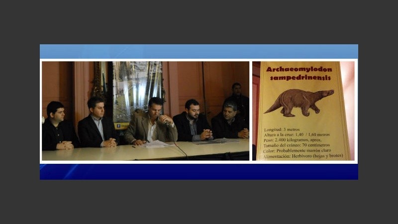 El hallazgo se presentó en la Cámara de Comercio de San Pedro.