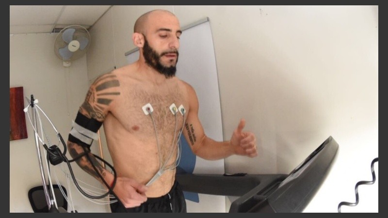 Pinola, en plena revisión médica.