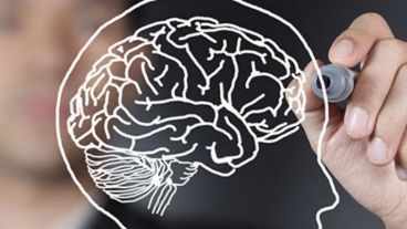 La cita es el viernes 7 de julio a las 19 en la Librería Homo Sapiens.