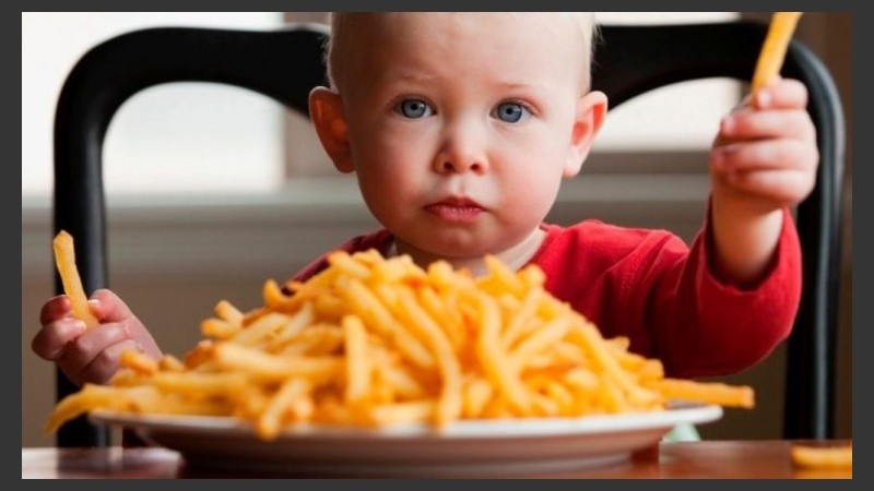 El niño necesita incorporar su dosis diaria de lácteos, verduras, frutas y proteínas.