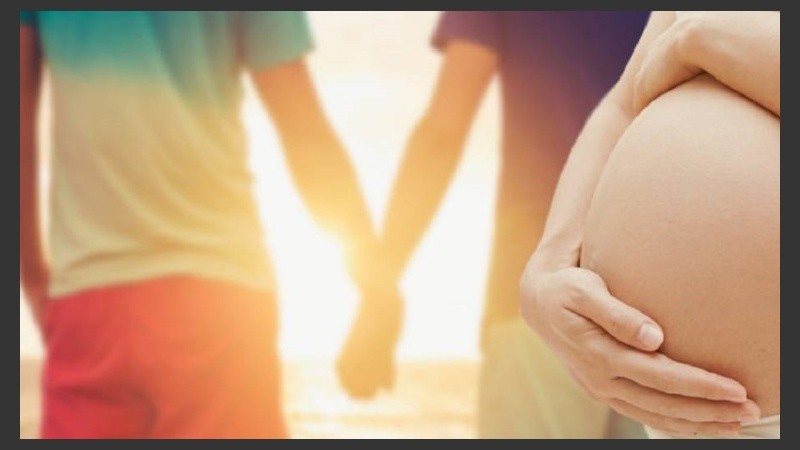 Una pareja homosexual podrá alquilar un vientre.