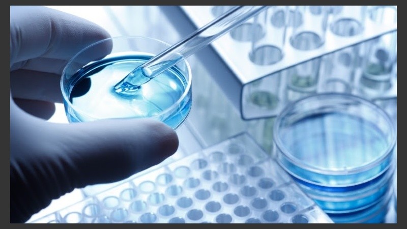 El plasma rico en plaquetas está en auge en su utilización en mejorar los órganos sexuales.