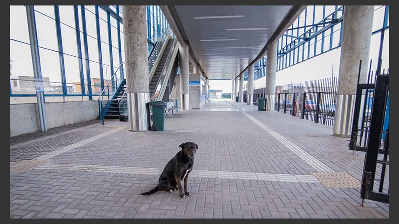Una postal desoladora de la estación Apeadero sur. Poca gente utiliza el tren que tarda más de 6 horas en llegar a destino. (Alan Monzón/Rosario3.com)