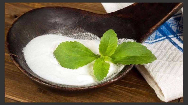 La OMS y la ONU aseguran que la estevia es segura incluso para niños y mujeres embarazadas.