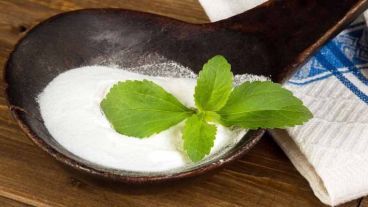 La OMS y la ONU aseguran que la estevia es segura incluso para niños y mujeres embarazadas.