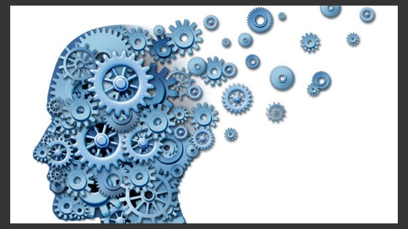 Comienza en agosto de 2017 y finaliza en julio de 2018.