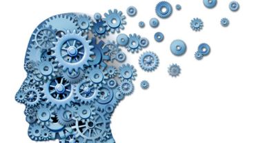 Comienza en agosto de 2017 y finaliza en julio de 2018.